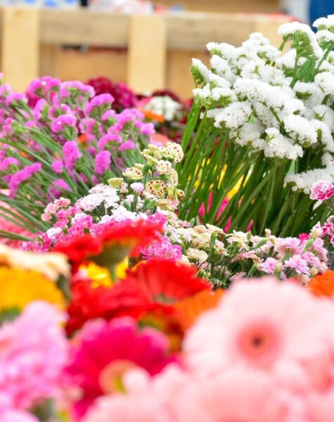ACCAAVO flowers 02